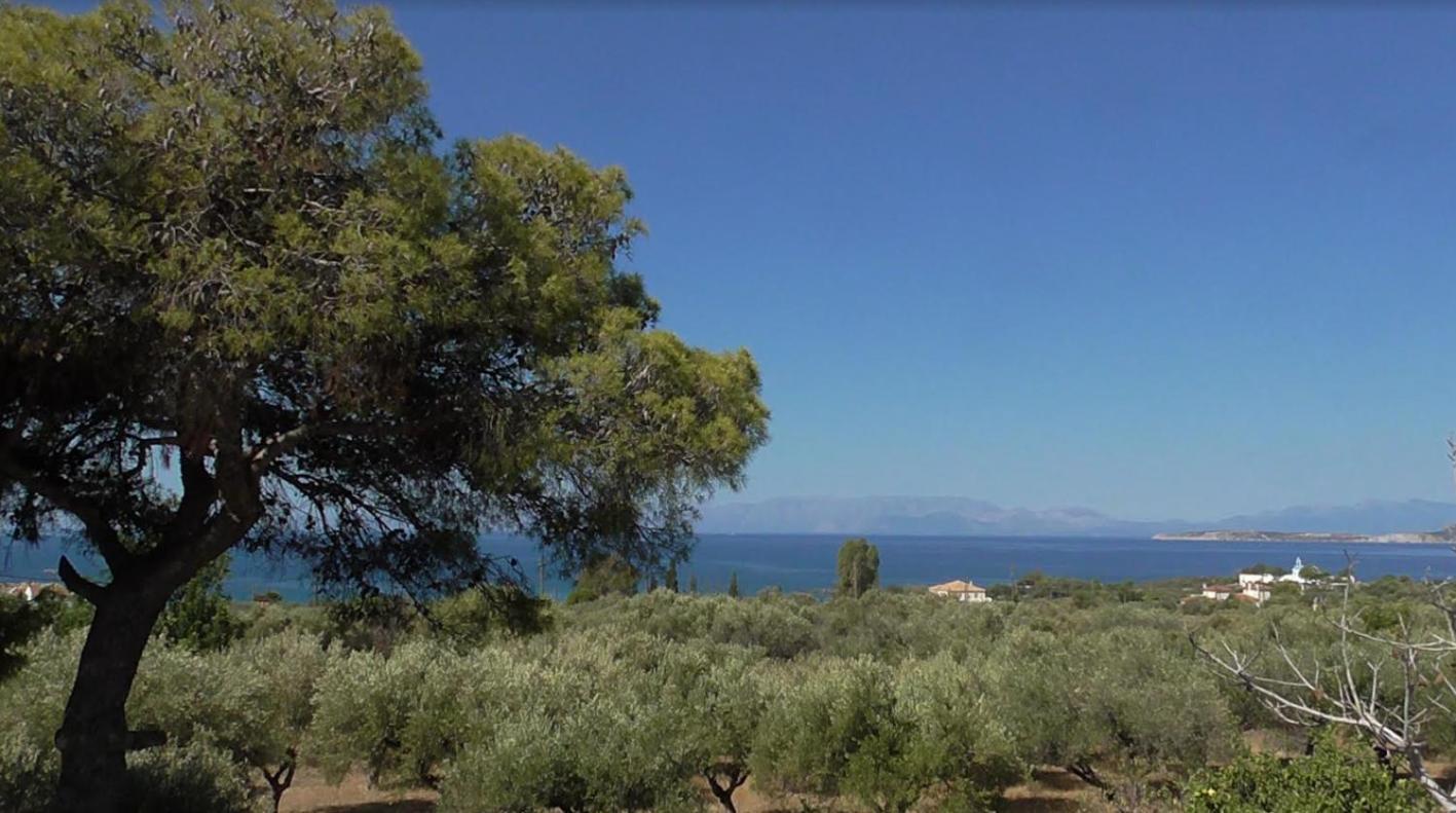 Το Κτήμα Της Ελιάς Του Τάκη Hostal Paralia Demonias Exterior foto