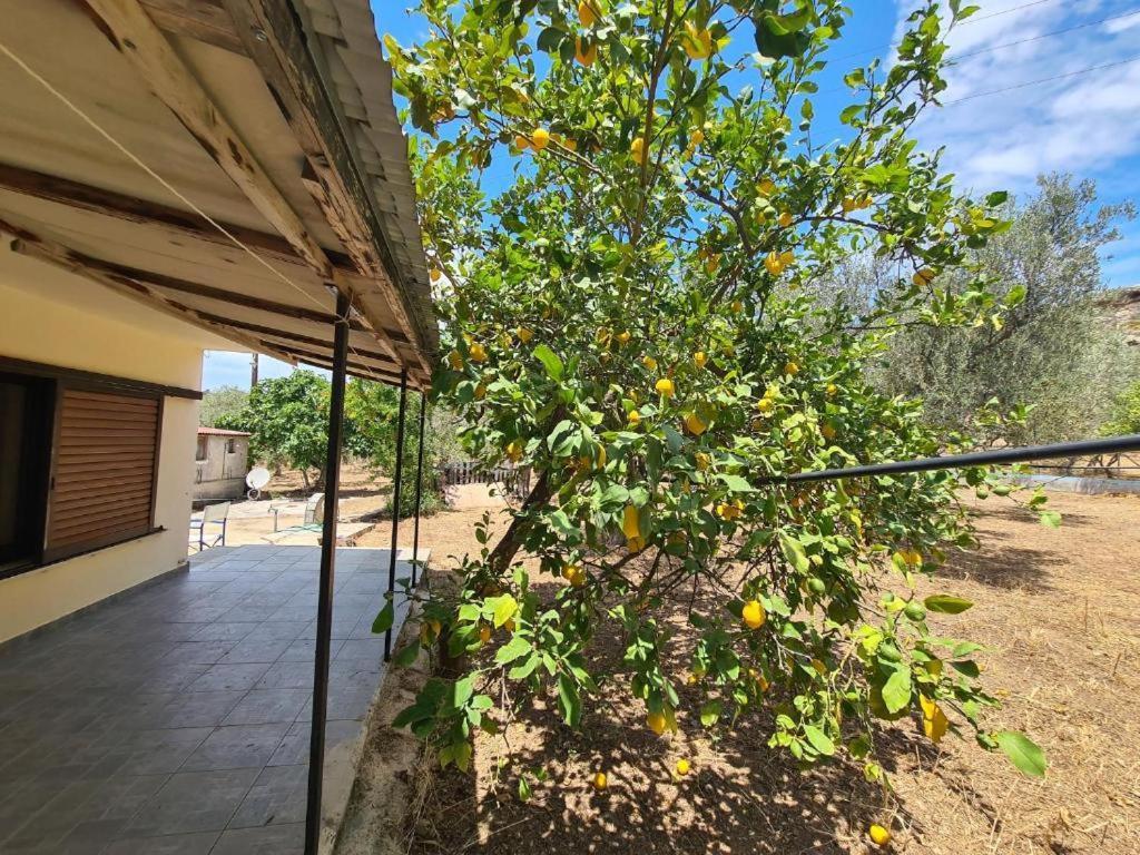 Το Κτήμα Της Ελιάς Του Τάκη Hostal Paralia Demonias Exterior foto